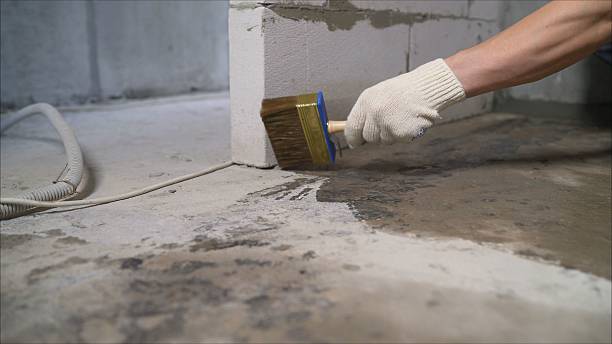 Top rated local Basement Waterproofing specialists in Bon Air, AL